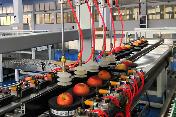 疫情之下中國(guó)水果市場(chǎng)發(fā)生轉(zhuǎn)型